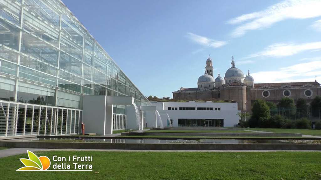 Orto botanico Padova