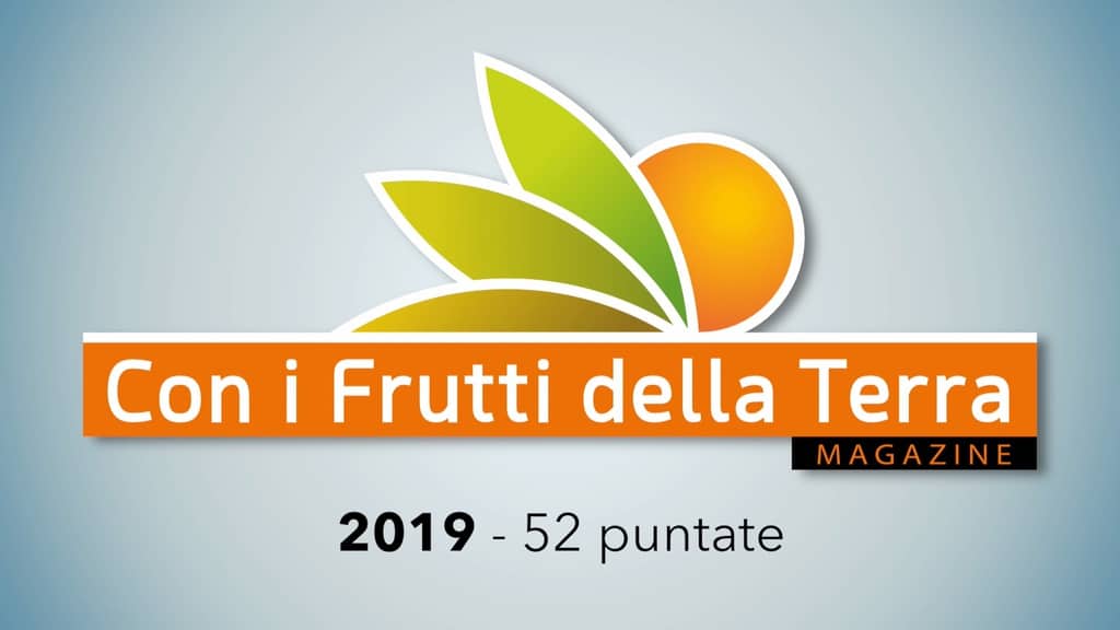 BUON 2020: a un nuovo anno insieme