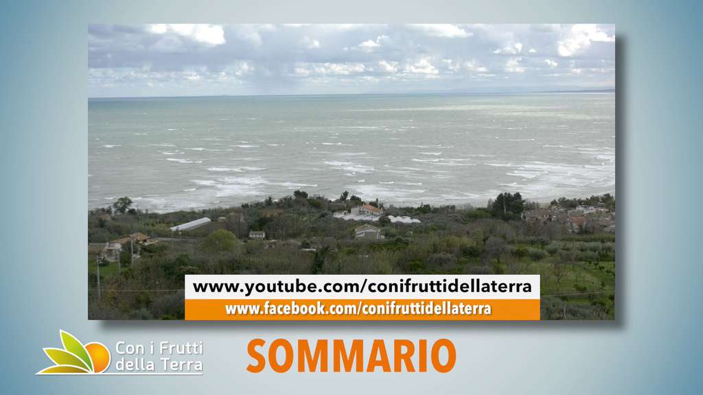 PROMO Puntata 93 del 12-01-2020