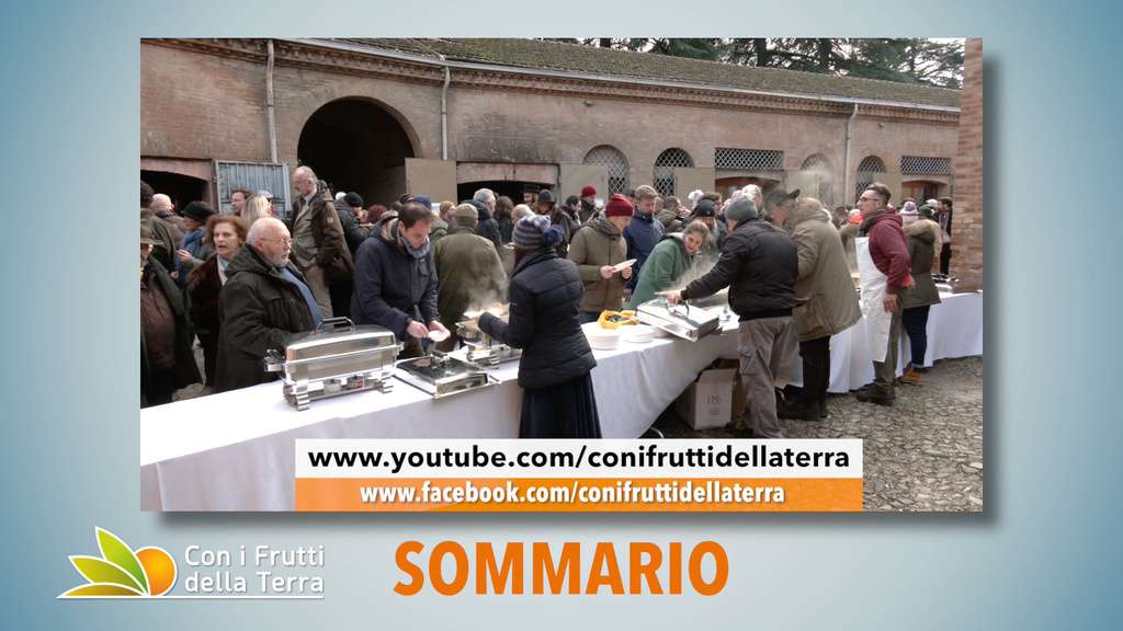 PROMO Puntata 95 del 26-01-2020