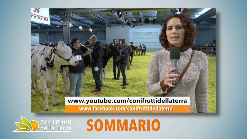 PROMO Puntata 96 del 02-02-2020