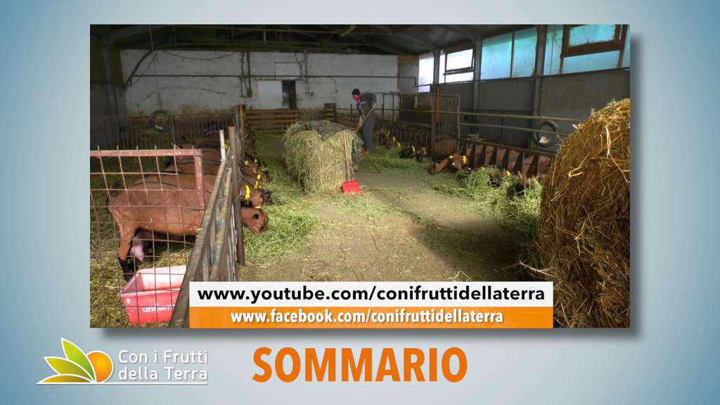 PROMO Puntata 98 del 16-02-2020