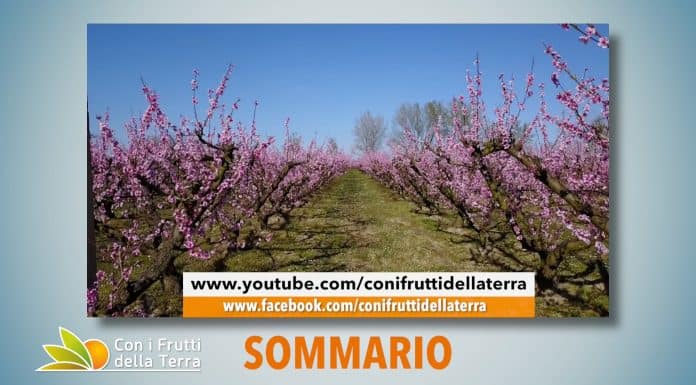 Puntata 104 del 29-03-2020