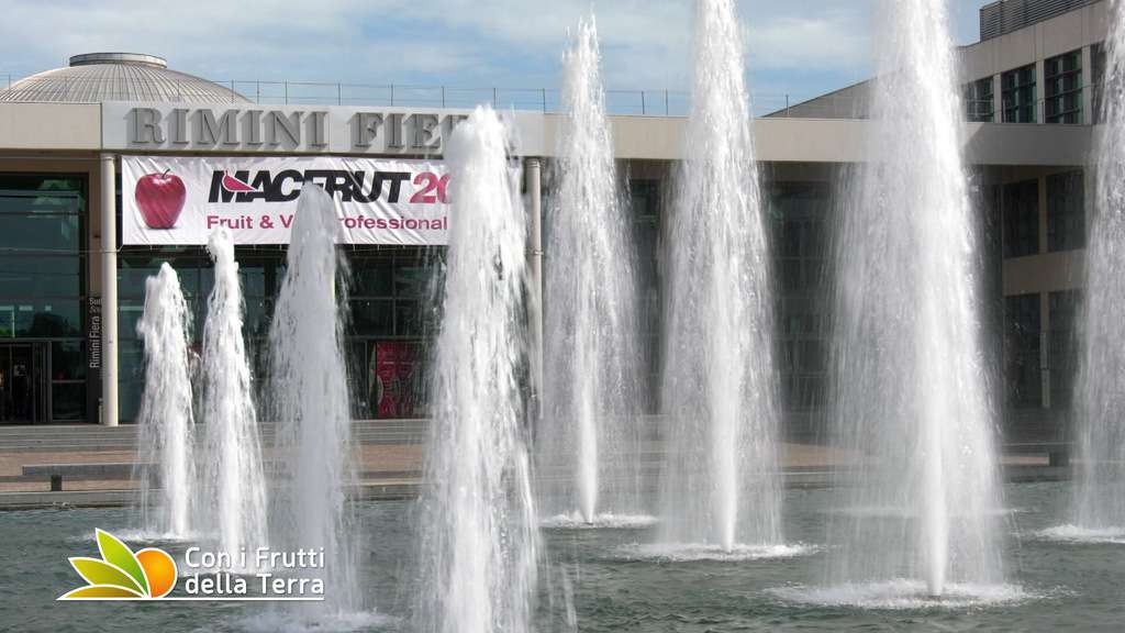 Macfrut conferma le date. Vinitaly rinviato a giugno
