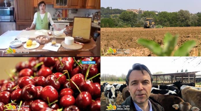 Puntata 106 del 12-04-2020
