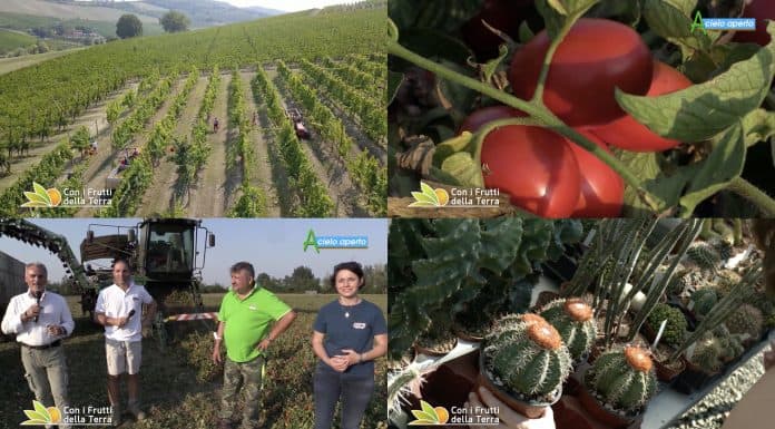 Puntata 129 del 20-09-2020
