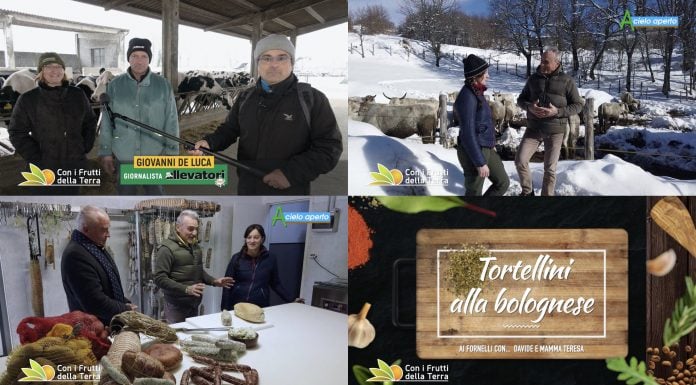 Puntata 146 del 17-01-2021