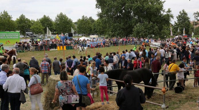 Fiera Agricola del Santerno: X edizione rinviata al 2022
