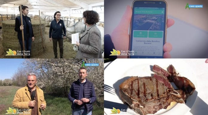 Puntata 156 del 28-03-2021
