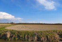 In Emilia Romagna è allarme siccità