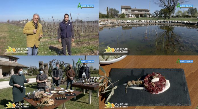 Puntata 157 del 04-04-2021