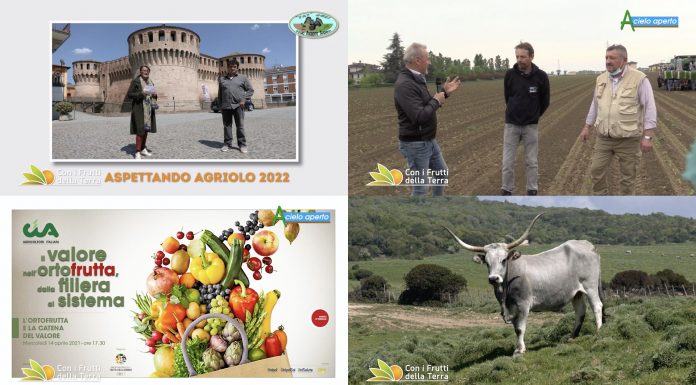 Puntata 161 del 02-05-2021