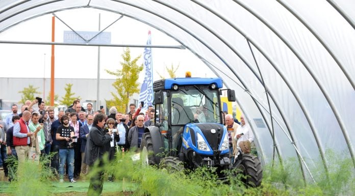 International Asparagus Day 2021. Il programma