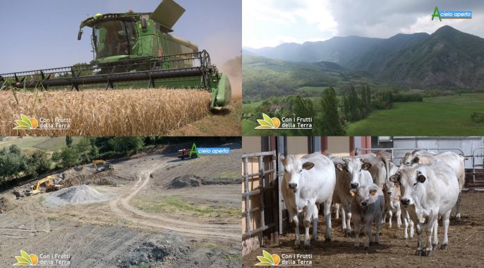 Puntata 218 del 5-06-2022