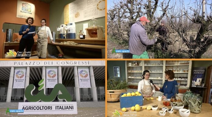 Puntata 255 del 19-02-2023