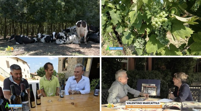 Puntata 329 del 21-07-2024