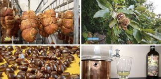 Puntata 392 del 5-10-2025