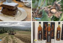 Puntata 393 del 12-10-2025