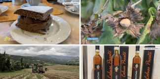 Puntata 393 del 12-10-2025