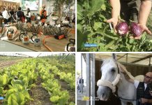 Puntata 395 del 26-10-2025