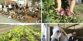 Puntata 395 del 26-10-2025