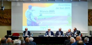 Conserve Italia, 106 milioni liquidati ai soci