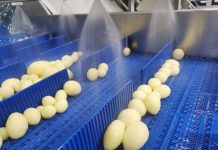 Naturitalia, cresce la IV gamma per l’Horeca