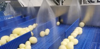 Naturitalia, cresce la IV gamma per l’Horeca