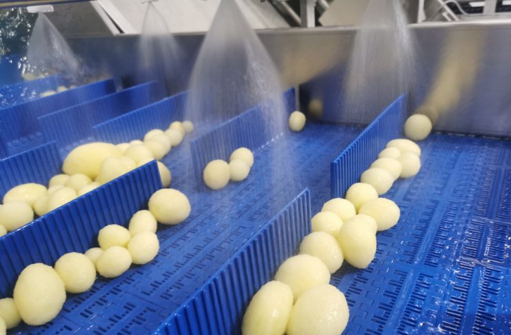 Naturitalia, cresce la IV gamma per l’Horeca