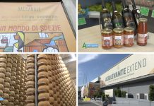 Puntata 396 del 2-11-2025