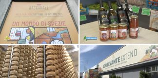 Puntata 396 del 2-11-2025