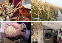 Puntata 397 del 9-11-2025