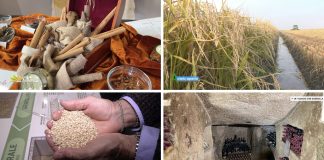 Puntata 397 del 9-11-2025