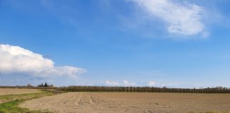 Bologna, campagna bieticola in chiaro-scuro