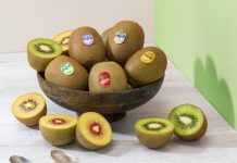 Jingold, parte con slancio la nuova stagione