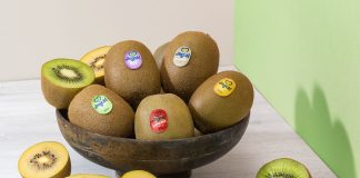 Jingold, parte con slancio la nuova stagione