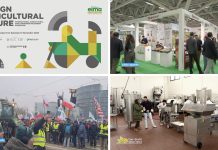 Puntata 409 dell’1-02-2026