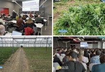 Puntata 412 del 22-02-2026