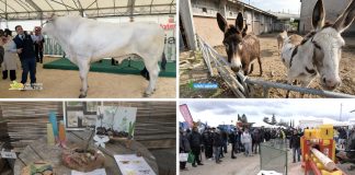 Puntata 419 del 12-04-2026