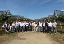 Agrintesa, radici sempre più forti in Calabria
