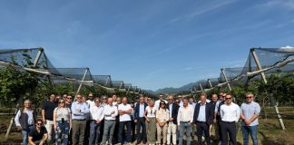 Agrintesa, radici sempre più forti in Calabria