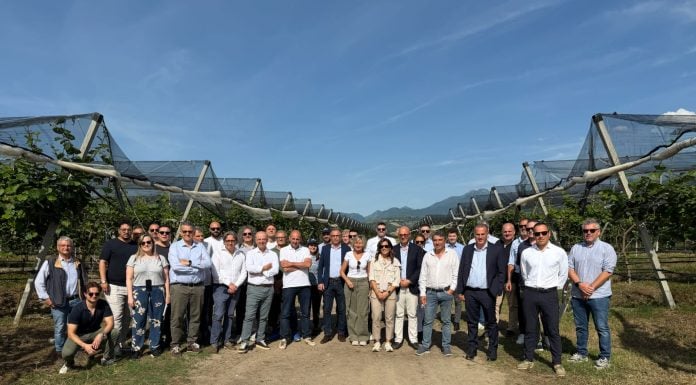 Agrintesa, radici sempre più forti in Calabria