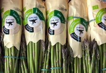 Brio, asparagi verdi Alce Nero con nuovi formati per nuovi consumatori