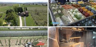 Puntata 423 del 10-05-2026