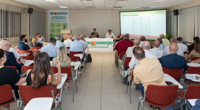 Gruppo Apo Conerpo, conferimenti stabili e fatturato in crescita