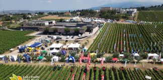 Macchinari agricoli, il settore vitivinicolo vale la metà dell’export