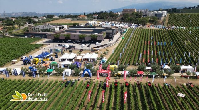 Macchinari agricoli, il settore vitivinicolo vale la metà dell’export