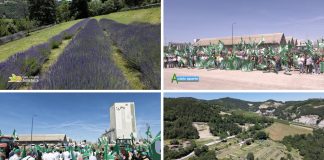 Puntata 429 del 21-06-2026