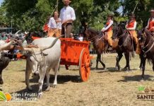 A Imola tutto pronto per la Fiera Agricola del Santerno