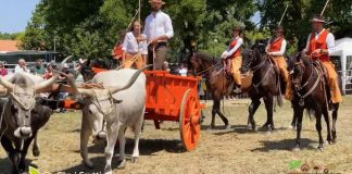 A Imola tutto pronto per la Fiera Agricola del Santerno